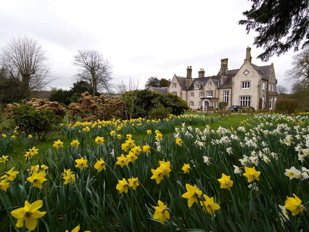 Langrish House Bed & Breakfast Petersfield Exterior photo